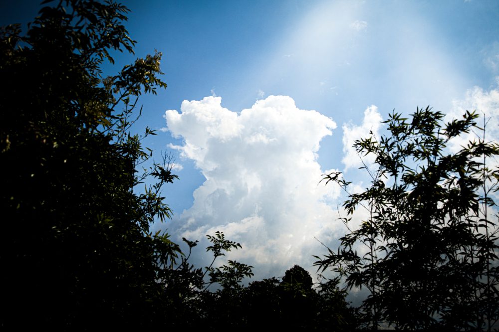 入道雲 | 【公式】出雲記念館